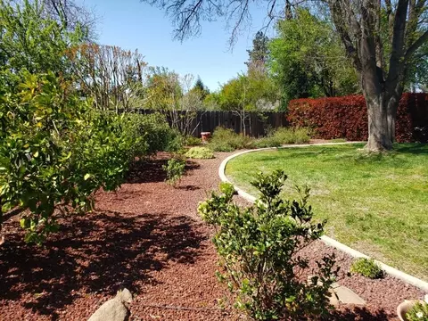 139 Williams Ave, Red Bluff, CA 96080 photo 37
