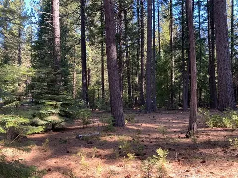 7579 Pine Ln, Shingletown, CA 96088 photo 5