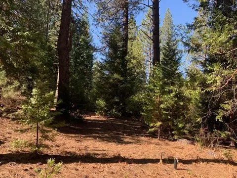 7579 Pine Ln, Shingletown, CA 96088 photo 3