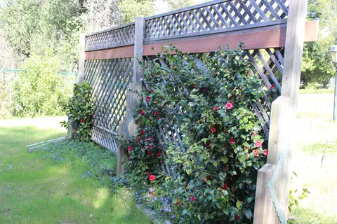 1381 Edgewood Dr, Redding, CA 96003 photo 58