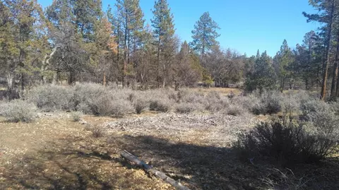 43125 Shoshoni Loop, Fall River Mills, CA 96028 photo 3