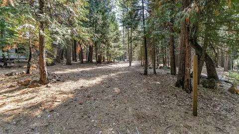 8450 Midnight Ln, Shingletown, CA 96088 photo 8