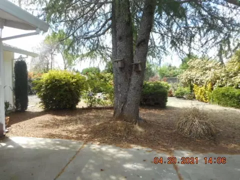 20196 Margarita, Redding, CA 96002 photo 9