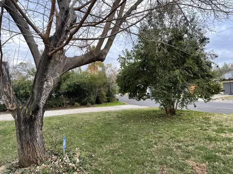 1312 Carter Way, Redding, CA 96002 photo 39