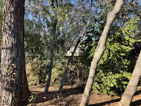 1312 Carter Way, Redding, CA 96002 photo 40