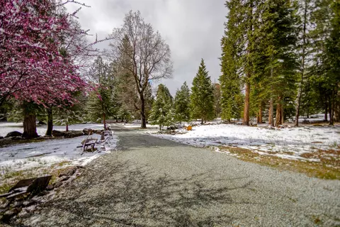 36482 Deer Flat Rd, Shingletown, CA 96088 photo 44