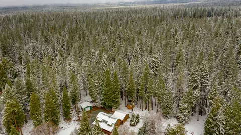 36482 Deer Flat Rd, Shingletown, CA 96088 photo 51