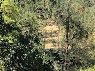 19626 San Vincente Dr, Redding, CA 96003 photo 5