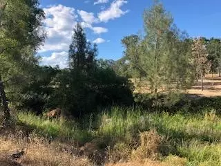 19626 San Vincente Dr, Redding, CA 96003 photo 7