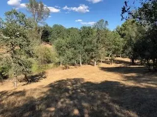 19626 San Vincente Dr, Redding, CA 96003 photo 6
