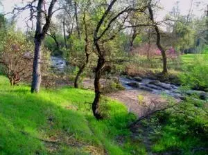 19626 San Vincente Dr, Redding, CA 96003 photo 30