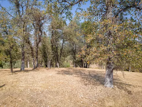 19626 San Vincente Dr, Redding, CA 96003 photo 29