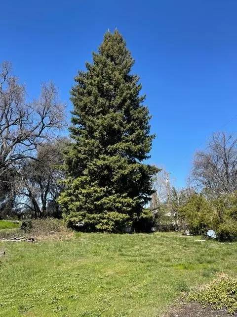 7597 Green Meadow Ln, Redding, CA 96002 photo 7