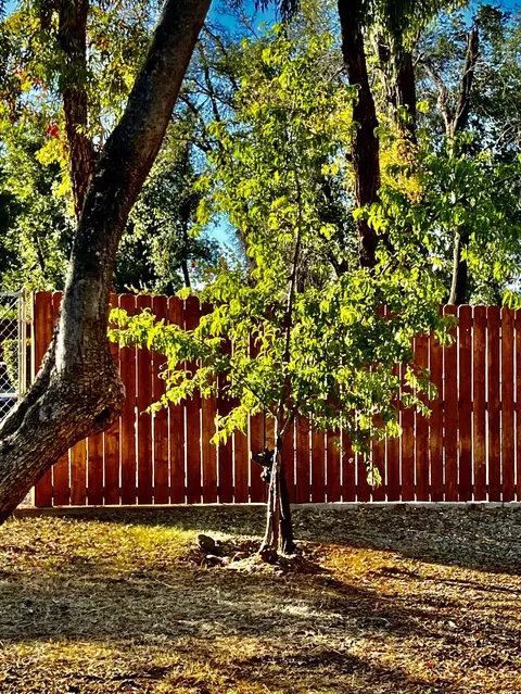 7145 Bohn Blvd, Anderson, CA 96007 photo 41