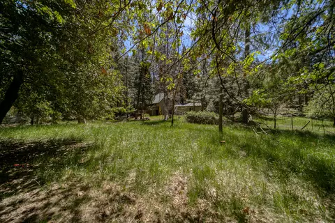 30915 Tinkerbell Ln, Shingletown, CA 96088 photo 40