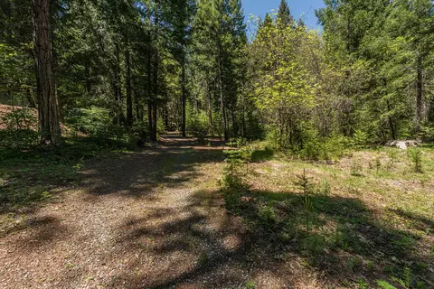 241 Scenic Ave, Trinity Center, CA 96091 photo 113