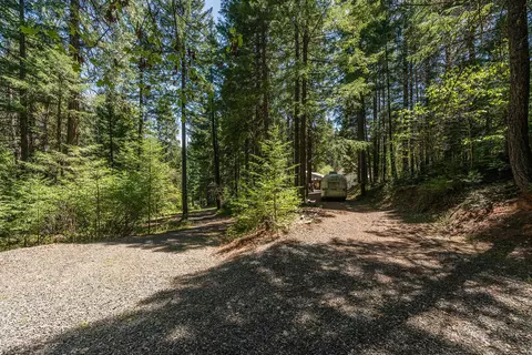 241 Scenic Ave, Trinity Center, CA 96091 photo 117