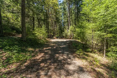 241 Scenic Ave, Trinity Center, CA 96091 photo 115