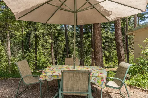 241 Scenic Ave, Trinity Center, CA 96091 photo 93