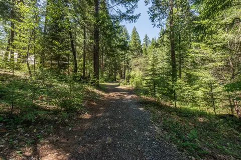 241 Scenic Ave, Trinity Center, CA 96091 photo 107