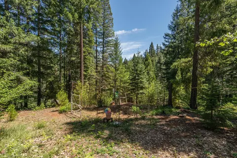 241 Scenic Ave, Trinity Center, CA 96091 photo 90