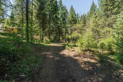 241 Scenic Ave, Trinity Center, CA 96091 photo 109