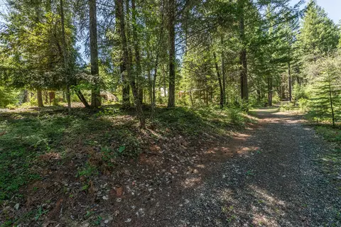 241 Scenic Ave, Trinity Center, CA 96091 photo 106