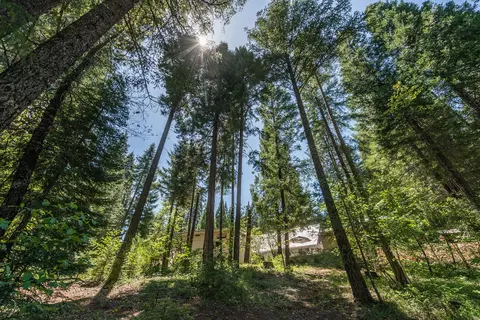 241 Scenic Ave, Trinity Center, CA 96091 photo 111