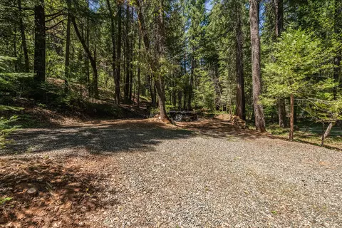 241 Scenic Ave, Trinity Center, CA 96091 photo 116