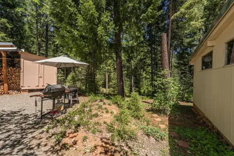241 Scenic Ave, Trinity Center, CA 96091 photo 92