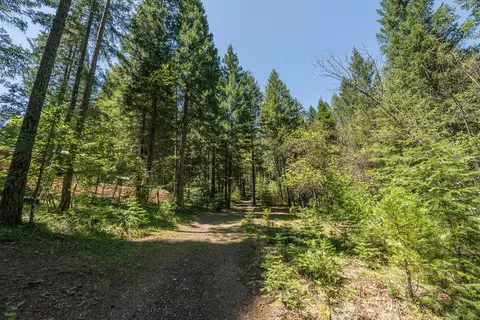 241 Scenic Ave, Trinity Center, CA 96091 photo 110