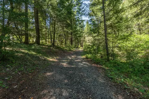 241 Scenic Ave, Trinity Center, CA 96091 photo 105