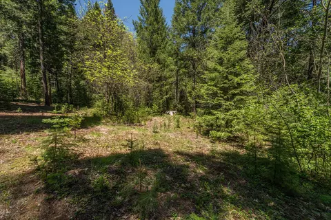 241 Scenic Ave, Trinity Center, CA 96091 photo 114
