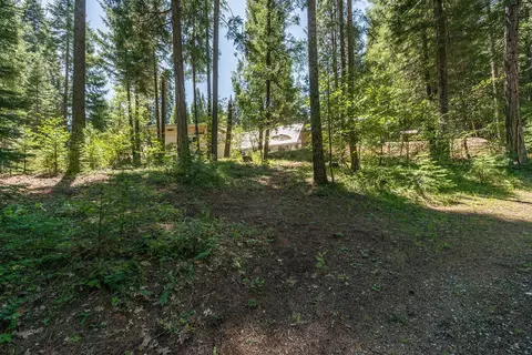 241 Scenic Ave, Trinity Center, CA 96091 photo 112