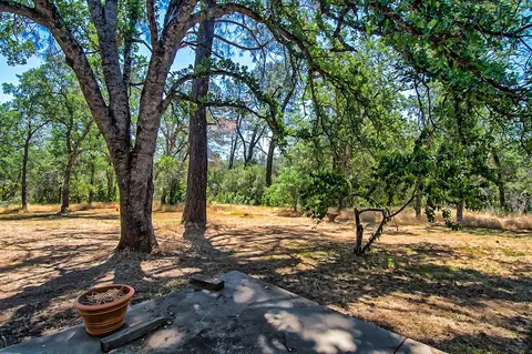8203 Gold Run Rd, Redding, CA 96001 photo 38