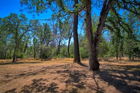8203 Gold Run Rd, Redding, CA 96001 photo 39