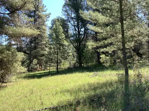 450 Texas Ave, Lewiston, CA 96052 photo 5