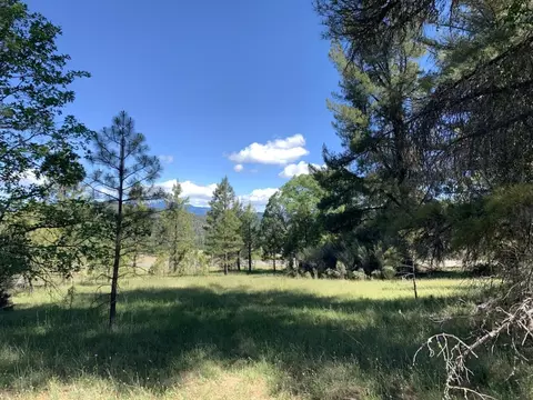 450 Texas Ave, Lewiston, CA 96052 photo 17