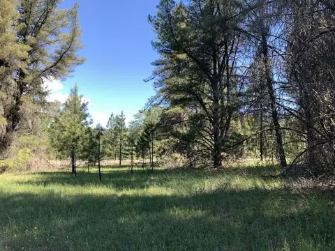450 Texas Ave, Lewiston, CA 96052 photo 16