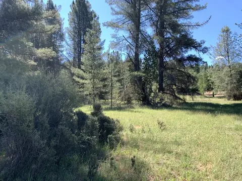 450 Texas Ave, Lewiston, CA 96052 photo 4