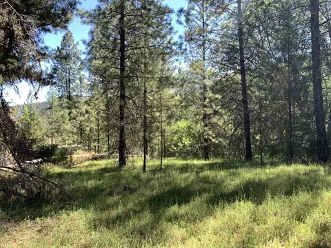 450 Texas Ave, Lewiston, CA 96052 photo 13