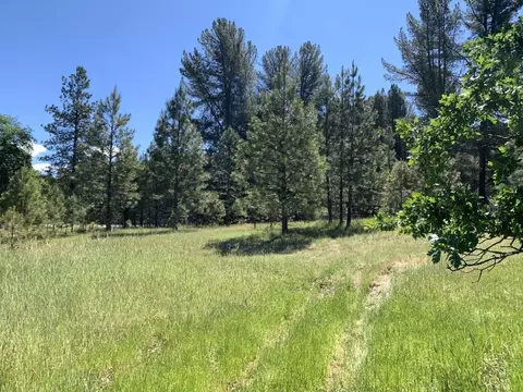 450 Texas Ave, Lewiston, CA 96052 photo 2