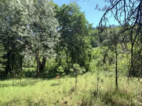450 Texas Ave, Lewiston, CA 96052 photo 11