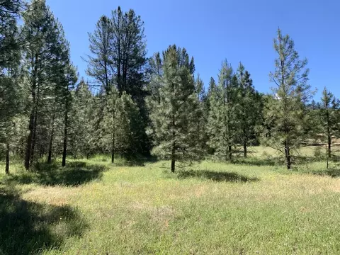 450 Texas Ave, Lewiston, CA 96052 photo 6