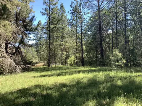 450 Texas Ave, Lewiston, CA 96052 photo 9