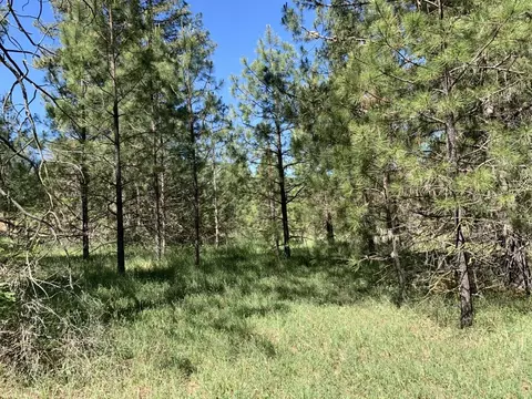 450 Texas Ave, Lewiston, CA 96052 photo 8