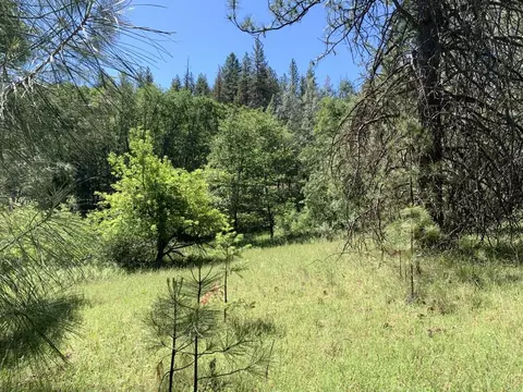 450 Texas Ave, Lewiston, CA 96052 photo 10
