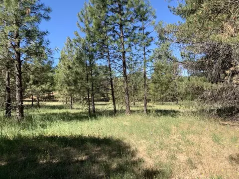 450 Texas Ave, Lewiston, CA 96052 photo 15
