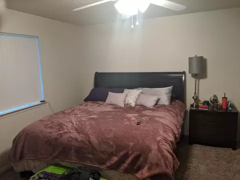2960 Sporting Ct, Redding, CA 96001 photo 10