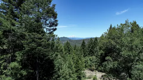 30344 Frontier Rd, Oak Run, CA 96069 photo 16